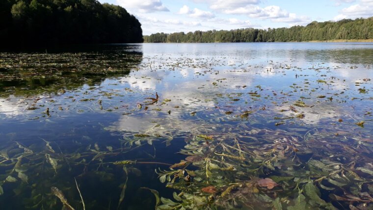 Gro?er Kronsee - Uckermarck