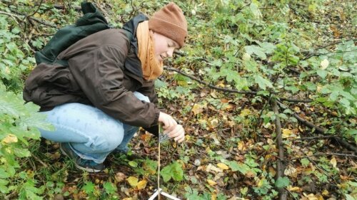Plots for vegetation observations in Rautal