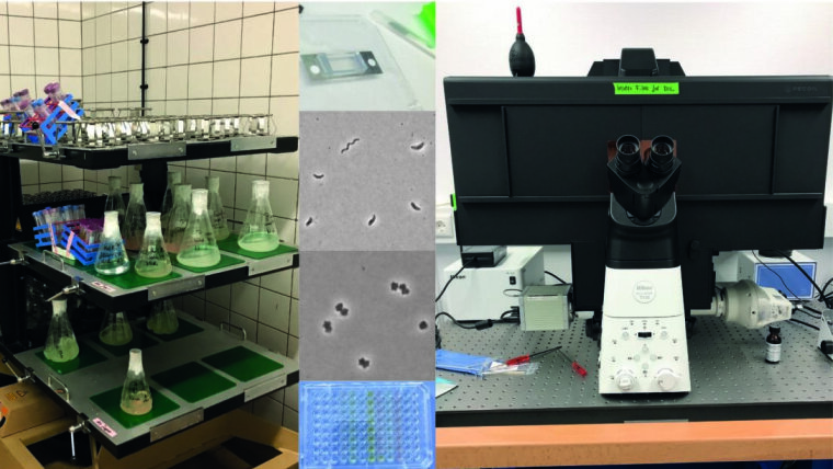 Collage laboratory