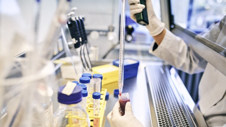 Analyze immune cells isolated from blood.