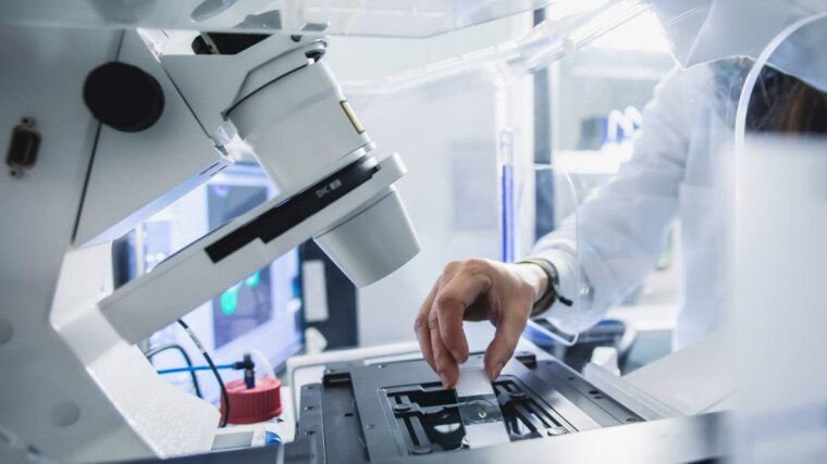 Microscope slide is put onto the specimen stage.