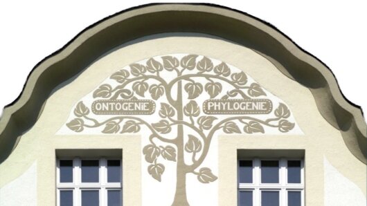 Phyletisches Museum