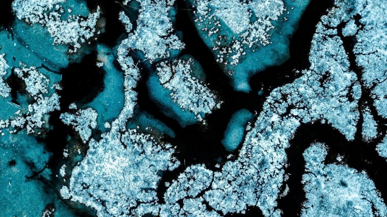 Biogeosciences