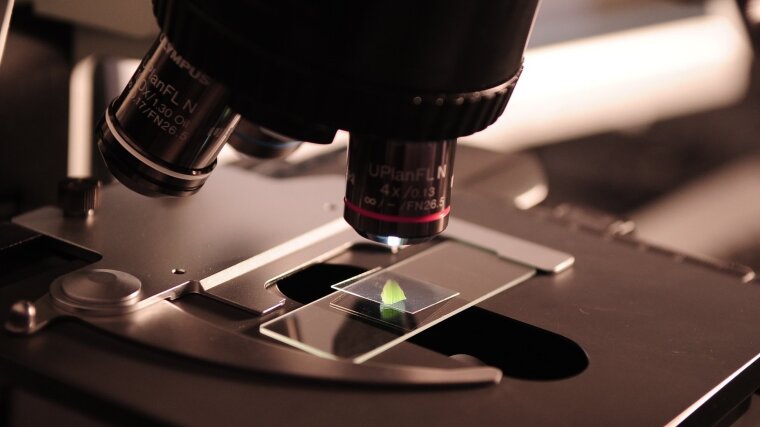 Microbiology
