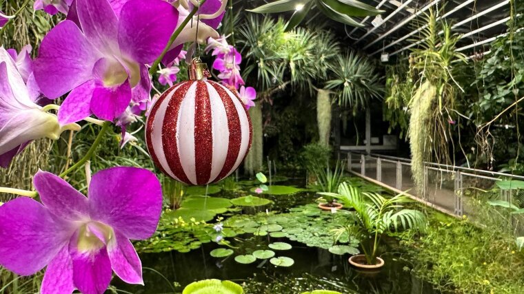 Victorihaus im BG Jena mit Weihnachtsschmuck