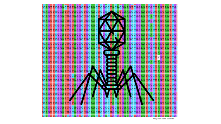 Bioinformatics tools for viromics, metagenomics, and modelling