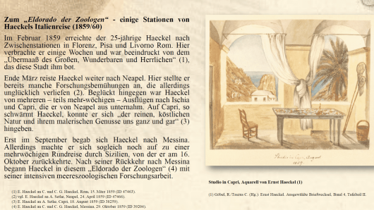 Folie zu Haeckels Italienreise