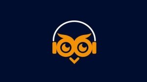 The owl as the logo of the Long Night of Museums