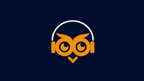 The owl as the logo of the Long Night of Museums