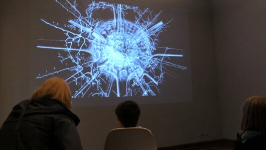 Visitors watch excerpts from the movie Proteus