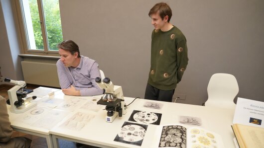 Radiolarien, kleinste Mikroorganismen des Meeres, wurden mittels Mikroskop sichtbar vergößert.