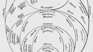 Schematic representation of the life contexts in egg form (Georg August Goldfuss: Ueber die Entwicklungsstufen des Thieres. Nürnberg 1817.))