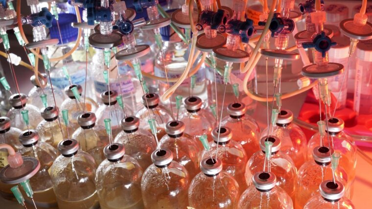 Co-cultivation of Fe-oxydizing and Fe-reducing Microbes