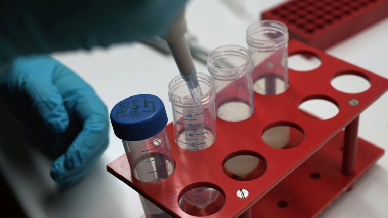 Jena School for Microbial Communication (JSMC) - A scientist works with biological samples in a laboratory at the Institute of Pharmacy at the University of Jena on March 4, 2015.