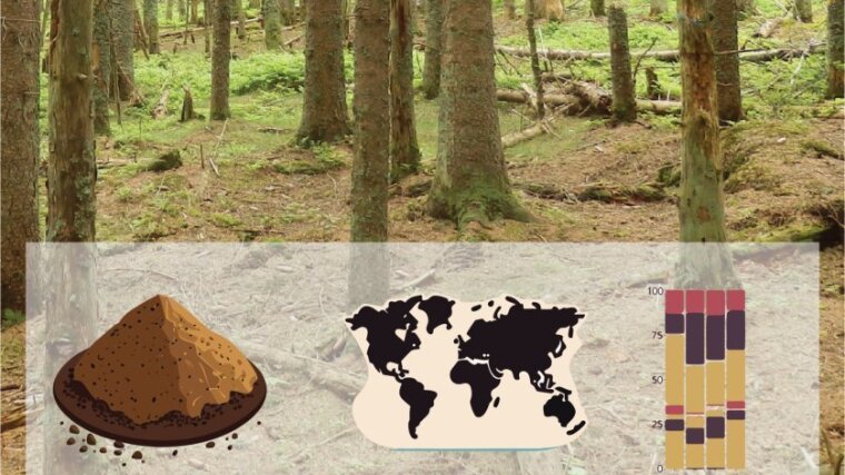 Graphical abstract "Drivers of Soil Microbiome Structure and Function"