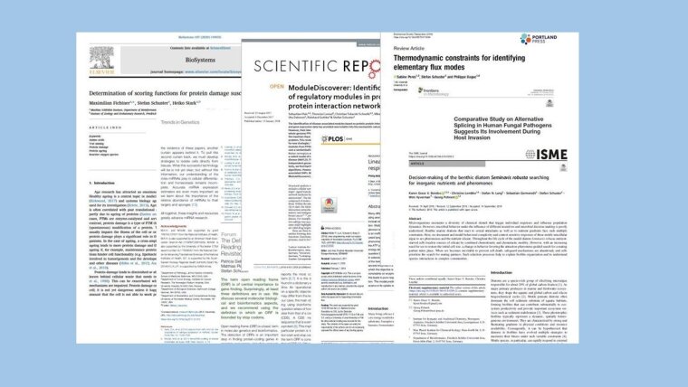Publikationen aus der Bioinformatik