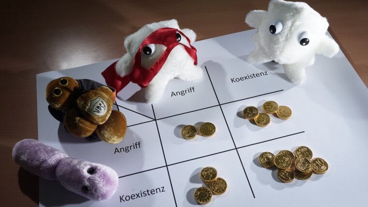 Symbolbild Auszahlungsmatrix