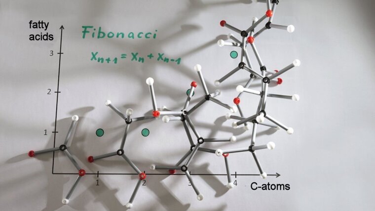 symbol picture fatty acids
