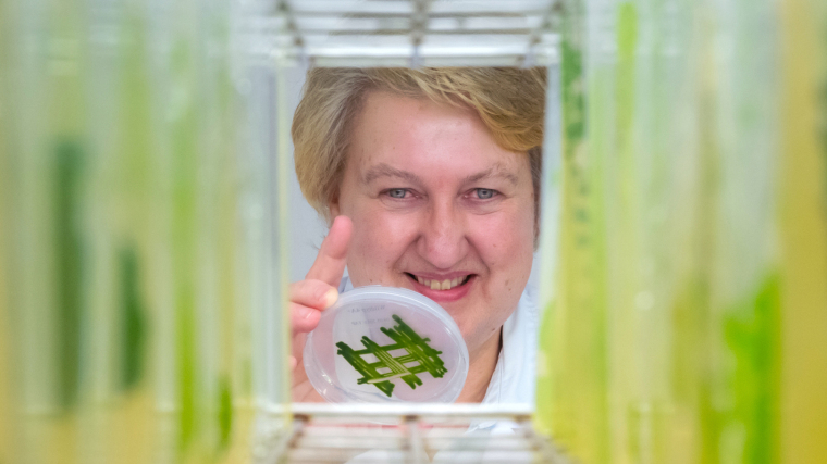 Prof. Dr. Maria Mittag