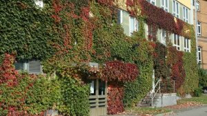 Philosophenweg 12