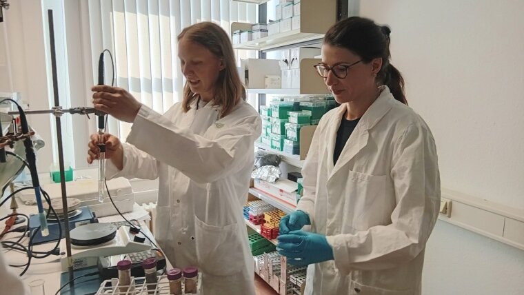 Dr.Schwab, Dr. Sapers