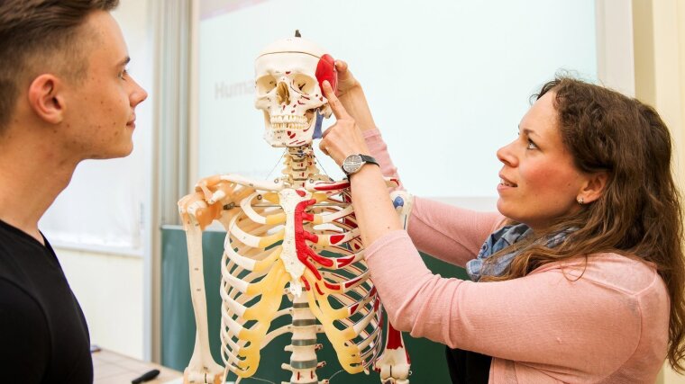 Veranschaulichung in der Vorlesung Humanbiologie