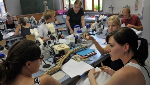 Zoologie