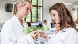 Students take plant samples