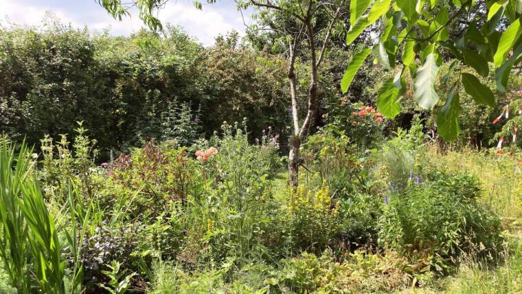 Ein biodiversitätsfreundlicher Garten
