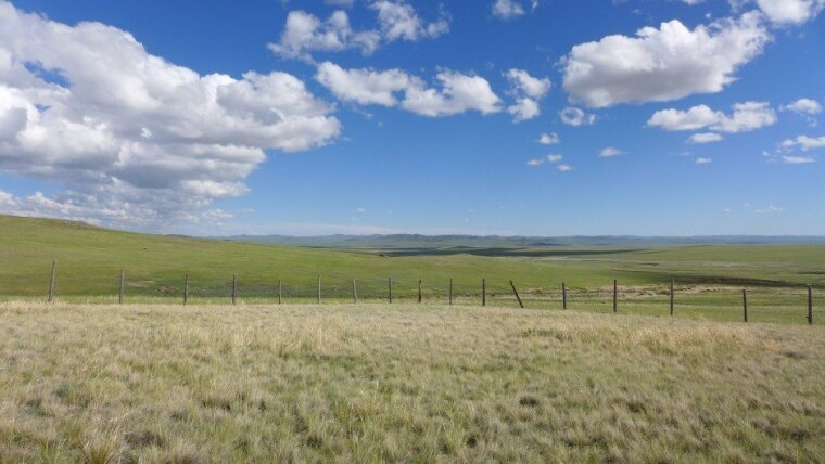Mongolei