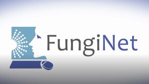 Logo Sonderforschungsbereich / Transregio FungiNet