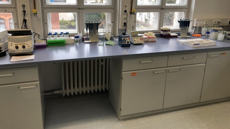 Practical course in gene technology