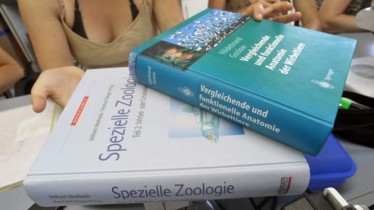 Lehrbücher Zoologie