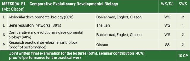 Module overview E1 - Comparative Evolutionary Developmental Biology