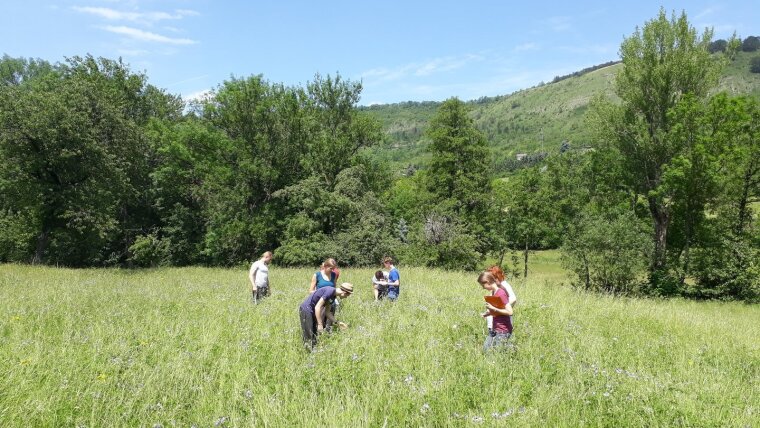 Field studies in the Gemdental